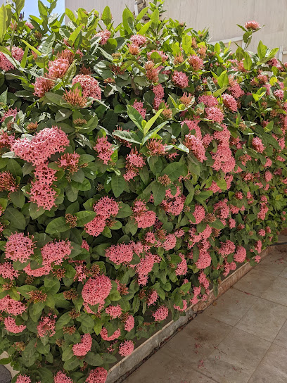 Emirates Flower Market - Oman|Seeb