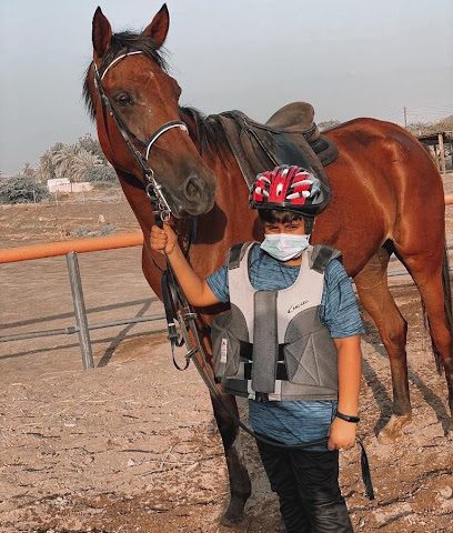 مربط الشموخ للفروسية - Sohar - +968 9569 5130