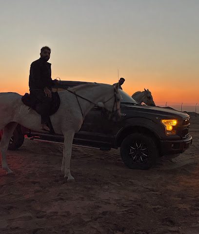 Salim Equestrian Stud - Murayjat - +968 7707 0046