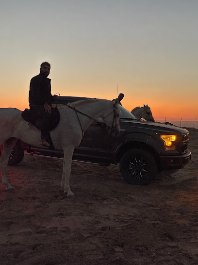 Salim Equestrian Stud - Oman|Murayjat|PQGQ+XW