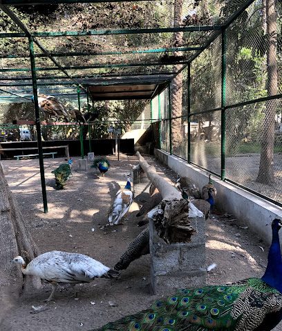 Al Faroqia Farm - Seeb -