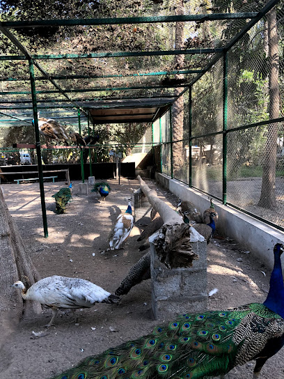 Al Faroqia Farm - Oman|Seeb|Street 3478