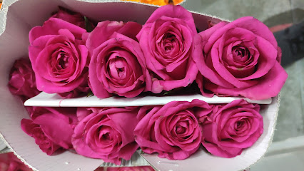Lights rose ( أنوار الورود )Flower shop - Seeb - +968 9873 3695