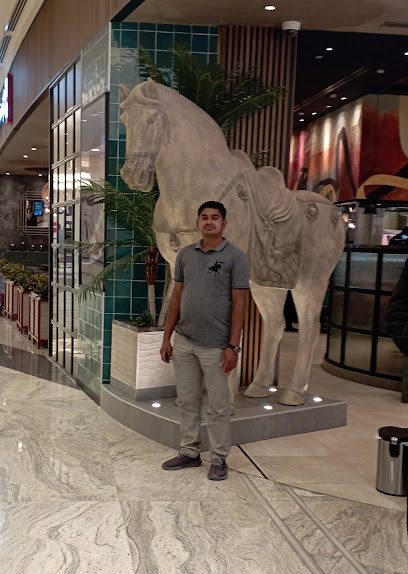 Md Delwar - Oman|Sohar