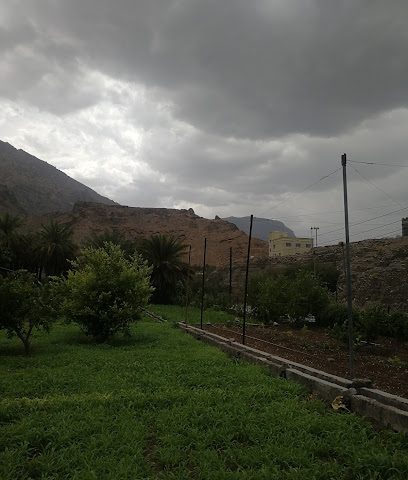 الهودنية - Murrah -