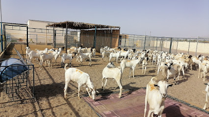 مسلخ وعزبة العوان - آدم، - +968 7287 2228