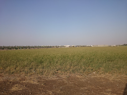The Agricultural Experimental Station محطة التجارب الزراعية - Seeb -