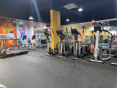 The M GYM - Sohar - +968 7197 2760