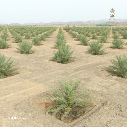 Diwan of the Royal Court - Farm Ibra - Ibra -