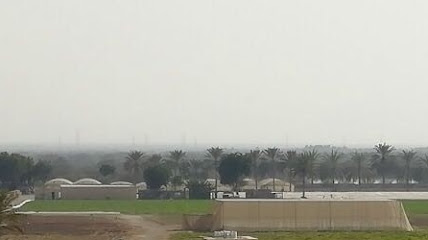 مزرعة أبو سلطان البويقي - Al Mudayq - +968 9539 6576