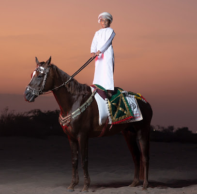رياضة ركوب الخيل Horseback riding - Ibra - +968 9719 9079