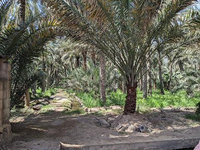 مسجد بلاد شاحك - Bidiyah -