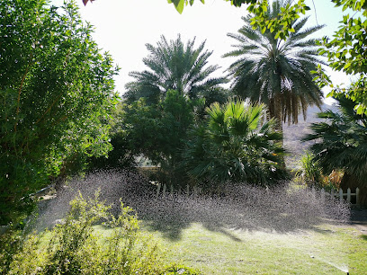 طوي القويرة - Nizwa -