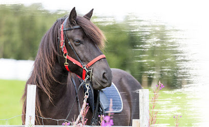 Almuriyat Equestrian الموريات للفروسية - Seeb - +968 9516 6066