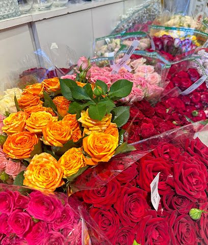 واحة الأفنان Wahat Alafnan - Sohar - +968 9480 0822