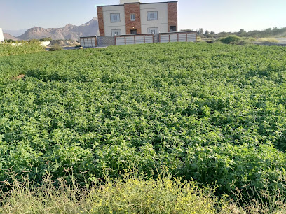 Green Guest Resort - Manah - +968 9117 5788