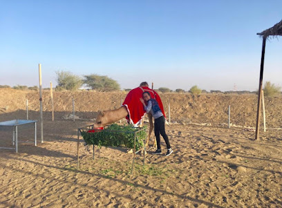 Salim Al Salhi farm - Al Nubra -