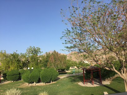 Garden gras - Nizwa -