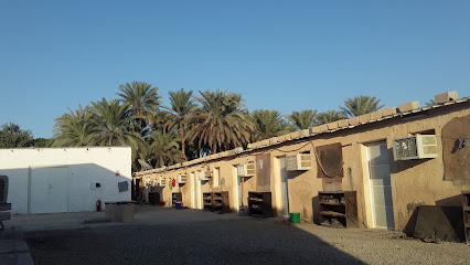 Al Nahdha Falaj Camp - Sohar - +968 9574 1240