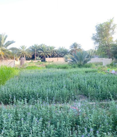 العتب - ازكي، -