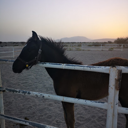 إسطبل الريامي - Adam -