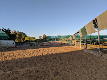 Qurum Equestrian LLC القرم للفروسية - Muscat - +968 9983 2199