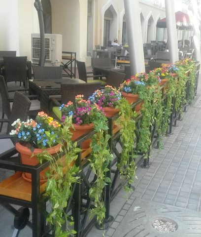 Mazaya Oman LLC - Muscat - +968 9422 0666