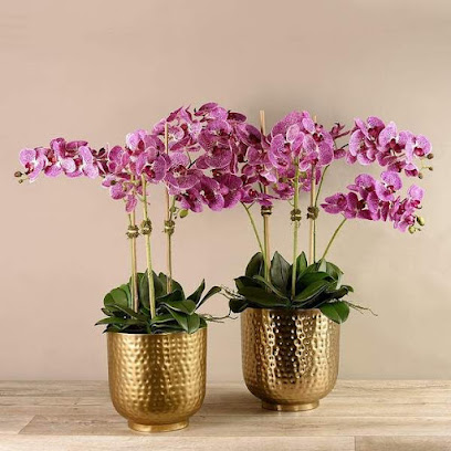 The Flower Shop Oman - Muscat - +968 24 560043