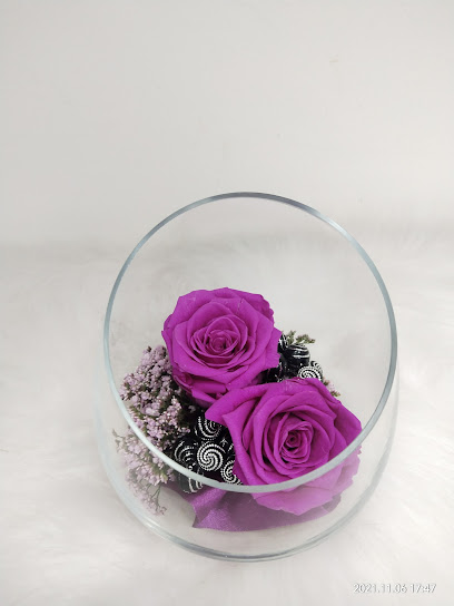 ELEGANT ROSE - Oman|Muscat|H9GW+H5M