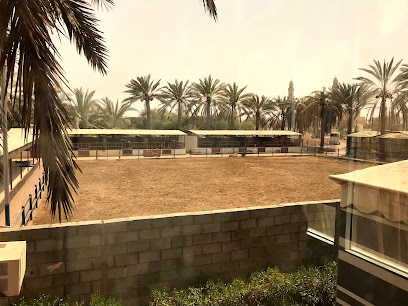 Horse riding farm house - Al Suwayq -