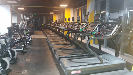 Horizon Fitness Men Barka - Barka - +968 9069 4191