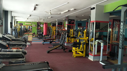 Lifestyle GYM SLL - Salalah - +968 7831 6545 ext. 97013579
