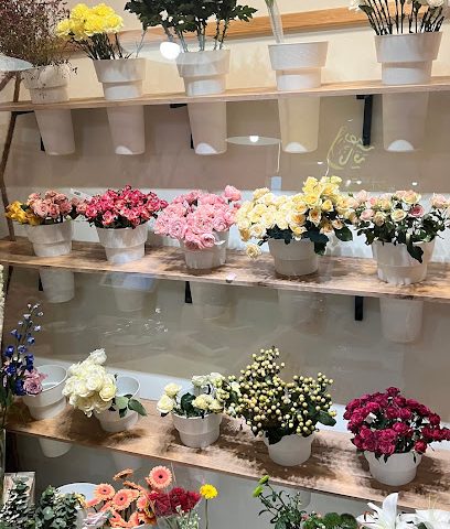 Sakura - Seeb - +968 9571 8191