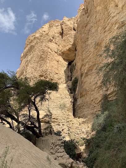 Hanging Gardens Hike - Oman|Al Buraimi|8WF3+MX5