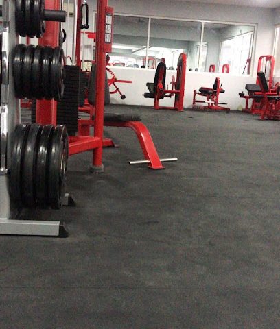 KING GYM - Seeb - +968 9415 1451