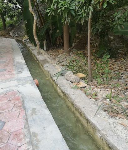 Kinarah كناره - بضعه -