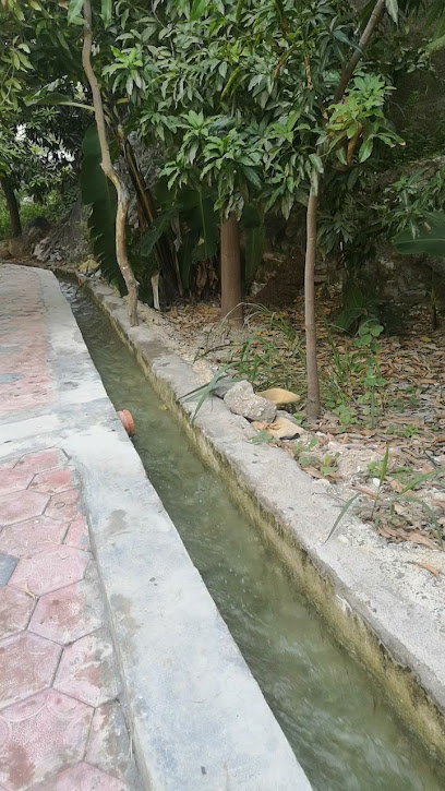 Kinarah كناره - Oman|بضعه|وادي بني خالد، Oman،|H429+H5H
