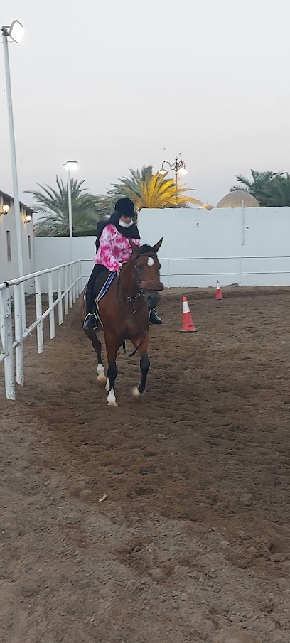 Al Sawahil Horse Riding School مدرسة الصواهل للفروسية - Oman|Seeb|H6RW+687