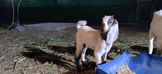 Prism Farm - Seeb - +968 9572 9272