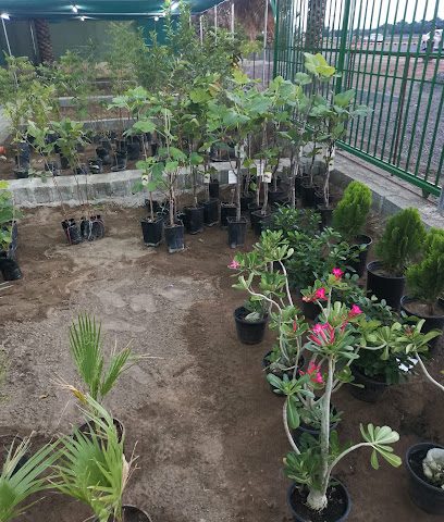 مشتل حدائق مزون - ولاية نزوى، - +968 7910 5068