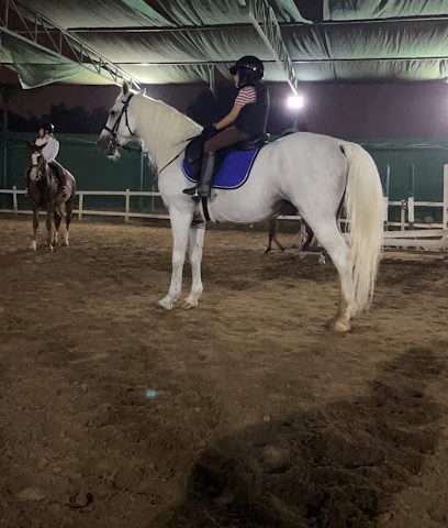 Qurum Equestrian - مسقط، -
