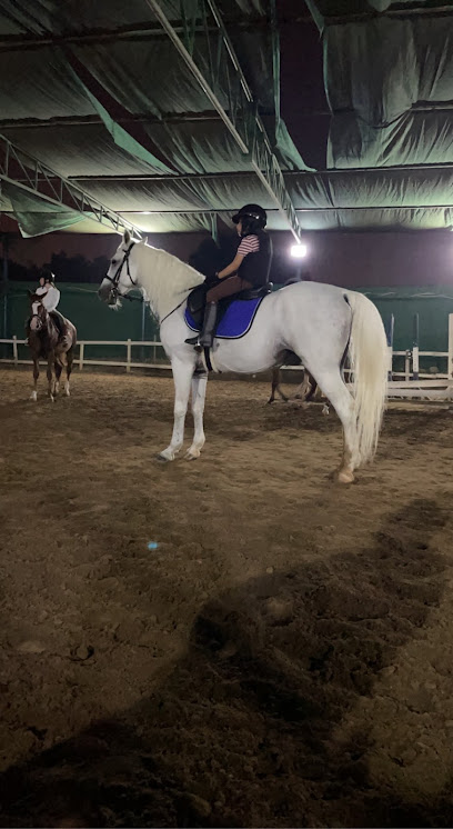 Qurum Equestrian - Oman|مسقط،|2237 Way|JFFR+M93