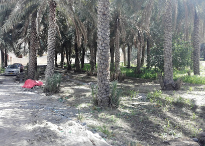Tawi Al Jama’a - Saroor - +968 9336 3903