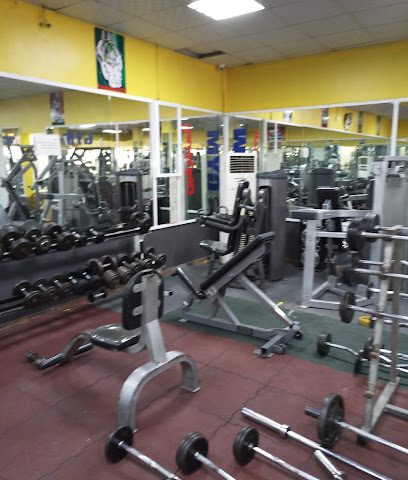 Professional gym - Shinas -