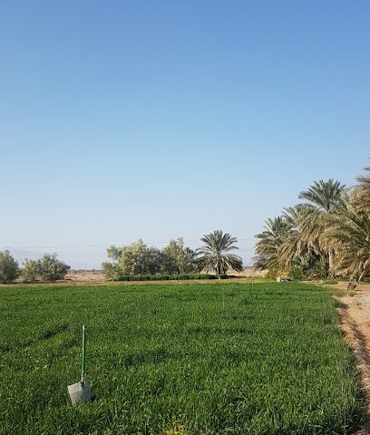 Farm Abdullah Al Alawi - Bahla - +968 9233 6467