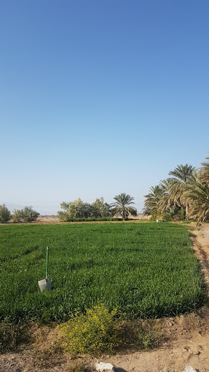 Farm Abdullah Al Alawi - Oman|Bahla|Q6RF+RHH