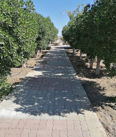 Bahla Garden Park - Bahla -