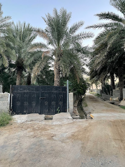 البريدية - Oman|ردة البوسعيد،|VG6G+VV