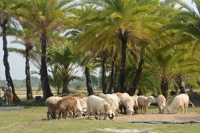 أسوار الخوير للاثاث - Bahla - +968 9934 2040