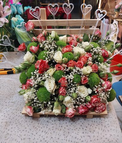 وردة صحار - Sohar - +968 9724 6577